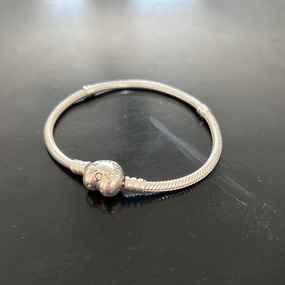 Pandora Charm Bracelet